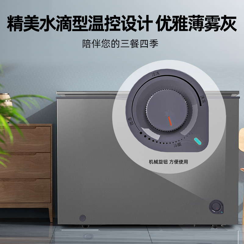 星星(XINGX)200升家用商用减霜净味薄门冰柜 冷藏冷冻转换冷柜 节能顶开冰箱 BD/BC-200KE高清大图