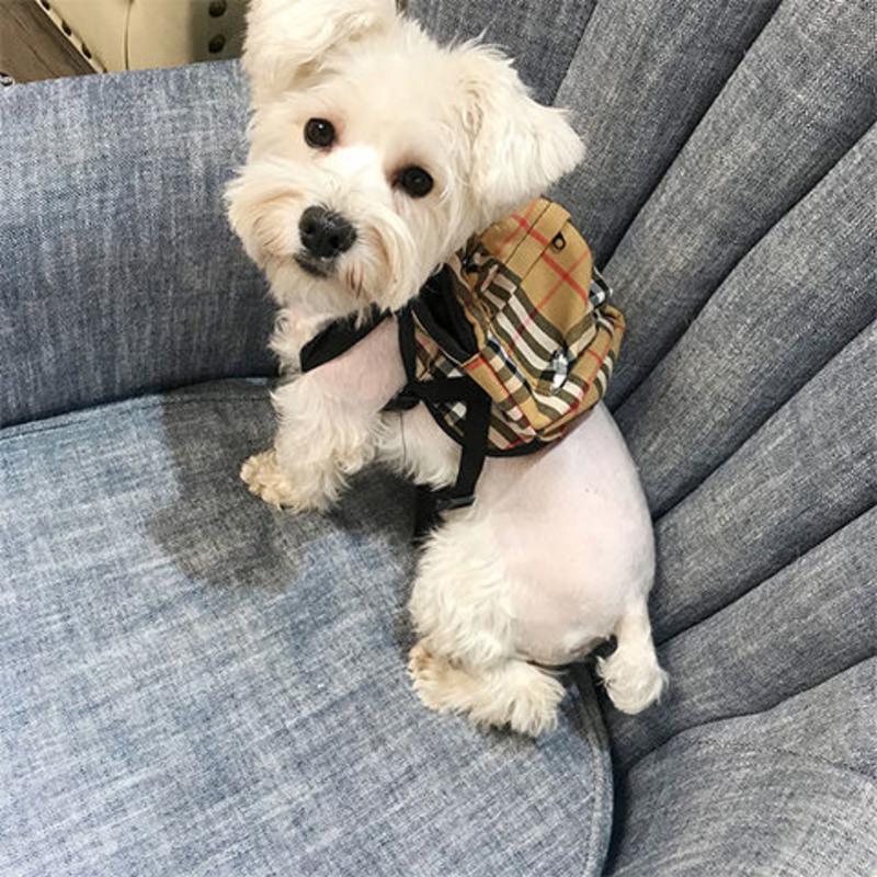 狗狗背包自背包泰迪背包自背包宠物书包狗狗书包金毛背包宠物背包1114