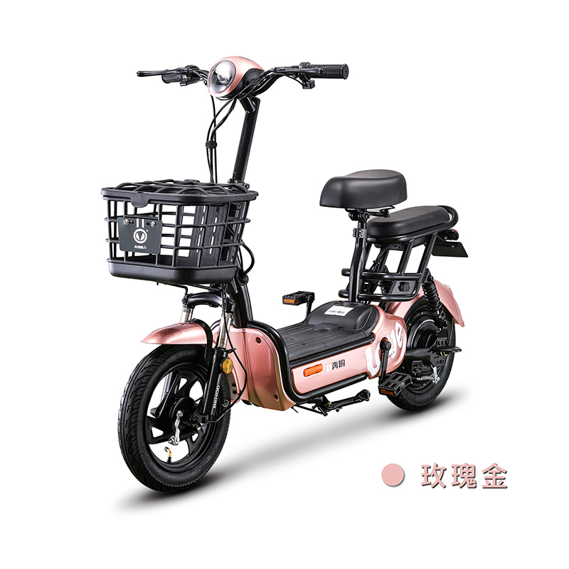 电动车/电动自行车/奔的魅力电动车/新国标电动车/两轮电动车/简易车