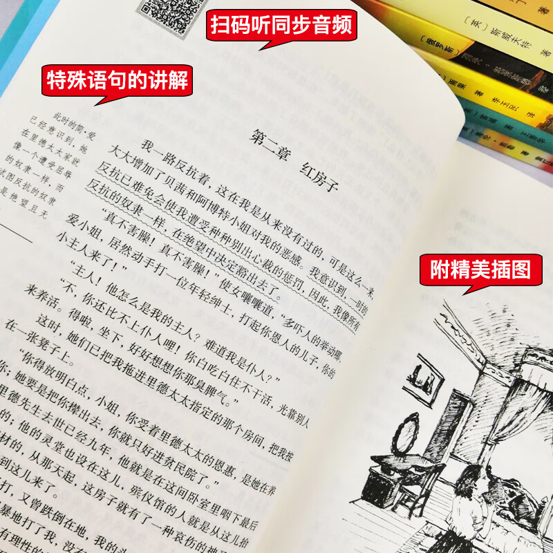 全套20册世界二十大名著必读正版原著钢铁是怎样炼成的鲁滨逊漂流记巴黎圣母院童年高高清大图