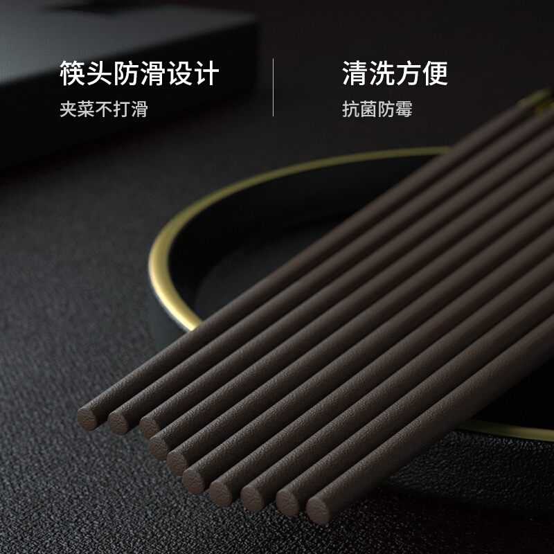 拾画 银离子抗菌合金筷 高档钛金设计防潮防滑筷子 不发霉耐高温家用餐具套装 10双装SH-6329