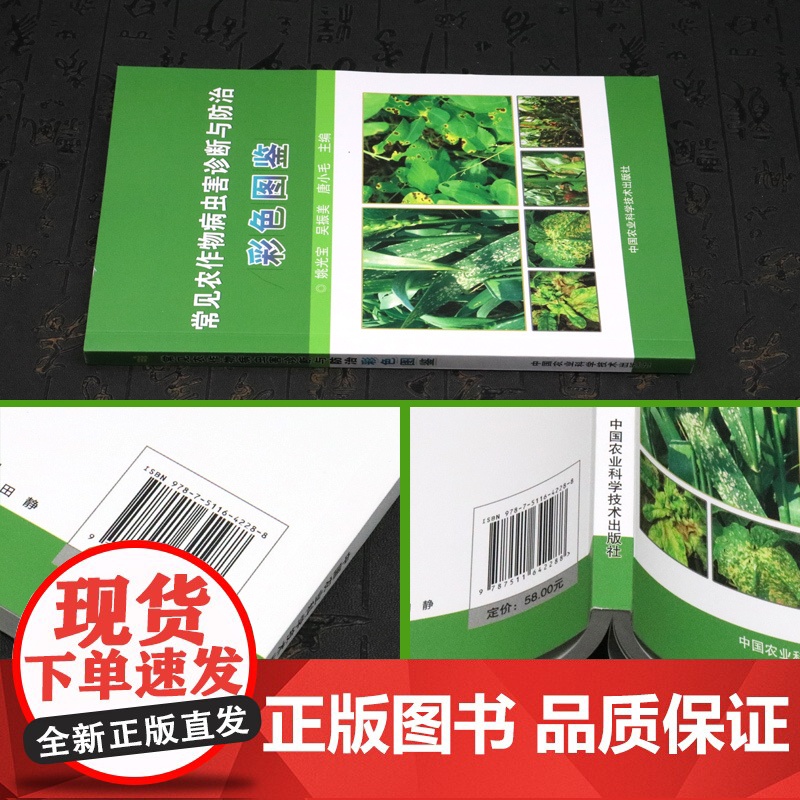 常见农作物病虫害诊断与防治彩色图鉴 农作物病虫害识别速查手册 麦稻玉米高粱谷大豆花生油菜烟草病虫害防治技术大全书高清大图