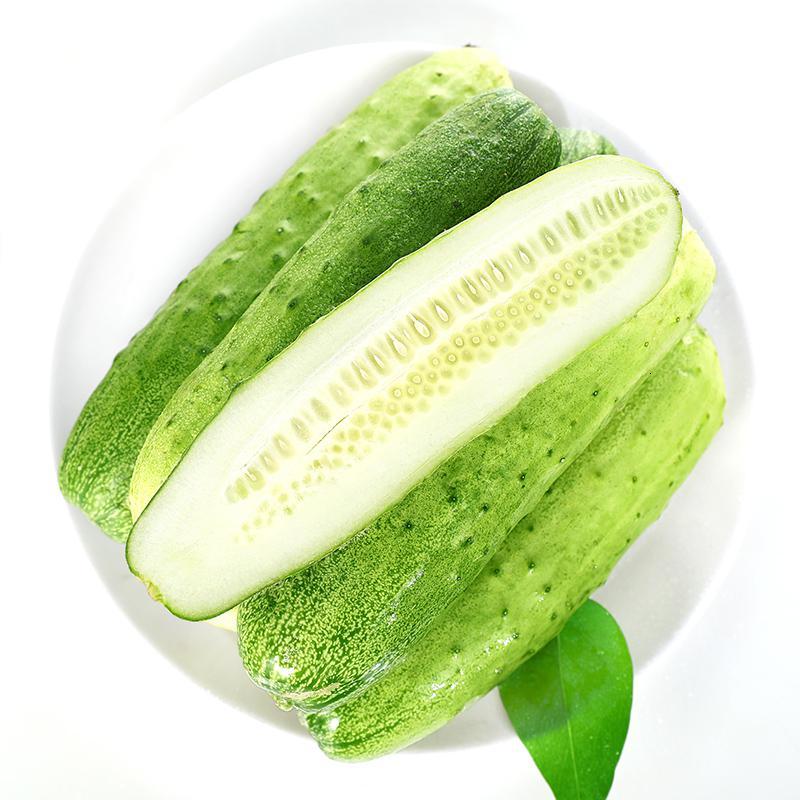 农聚源 新鲜水果小瓜5斤整箱脆嫩旱瓜小青瓜孕妇蔬菜