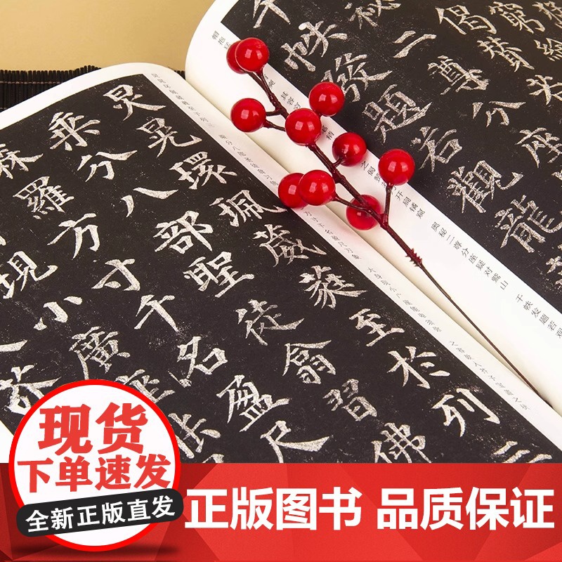 中国历代名碑名帖精选 颜真卿多宝塔碑 中国碑帖名品颜体楷书毛笔字帖书法临摹古帖宋拓本正版书籍颜体楷书毛笔字帖书法临摹临帖高清大图