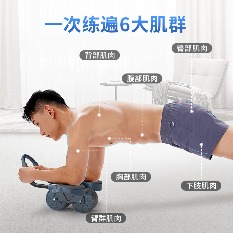舒华(SHUA)室内健身器材肘撑健腹轮SH-S715(云雾紫)高清大图