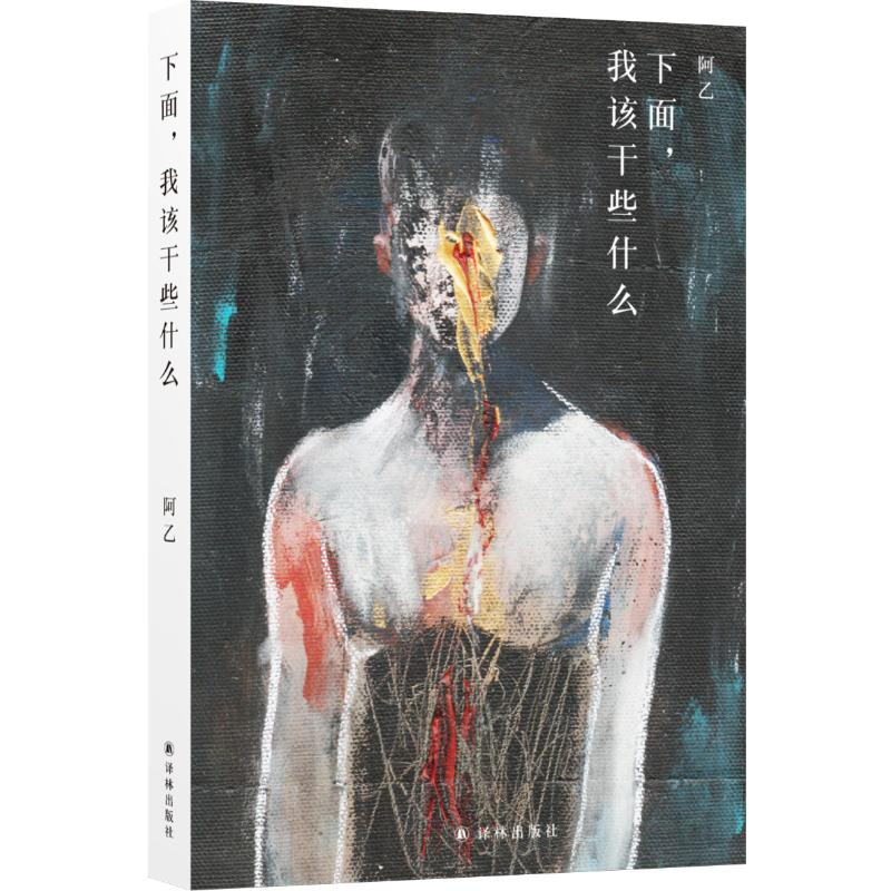 [M]下面,我该干些什么/阿乙 阿乙 著 -9787544773997高清大图