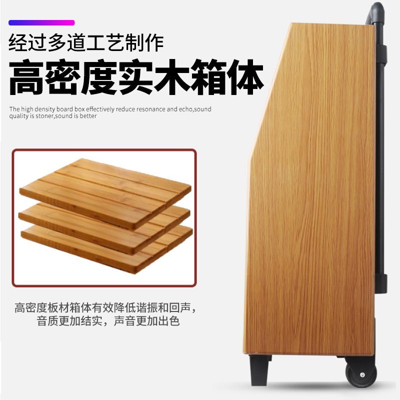 先科(SAST)广场舞音响 户外移动拉杆音箱带显示屏 便携式一体机 大功率WiFi触摸屏视频播放器KTV点歌机带麦克风