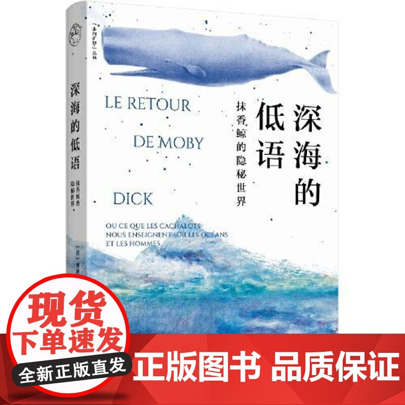 深海的低语:抹香鲸的隐秘世界 东方出版中心高清大图