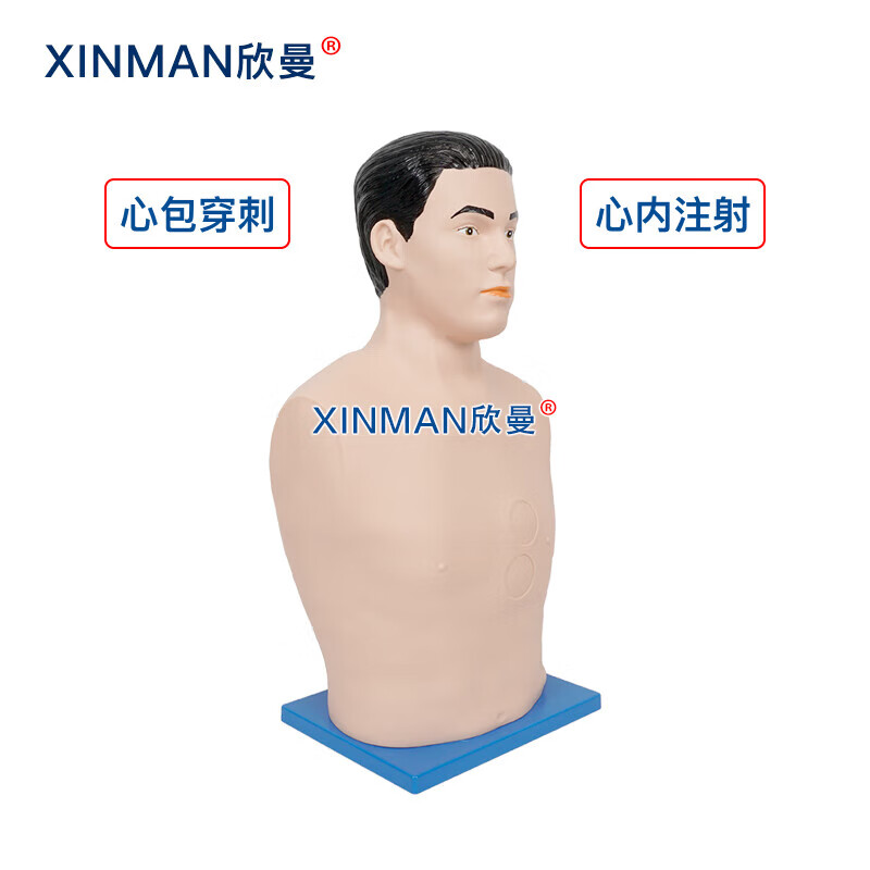 欣曼科教 心包穿刺与心内注射模拟人 心包穿刺训练模型XM-XB01高清大图
