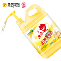 金鱼(GoldFish) 生姜洗洁精 去油 护手洗涤灵 2kg/瓶(去油污)