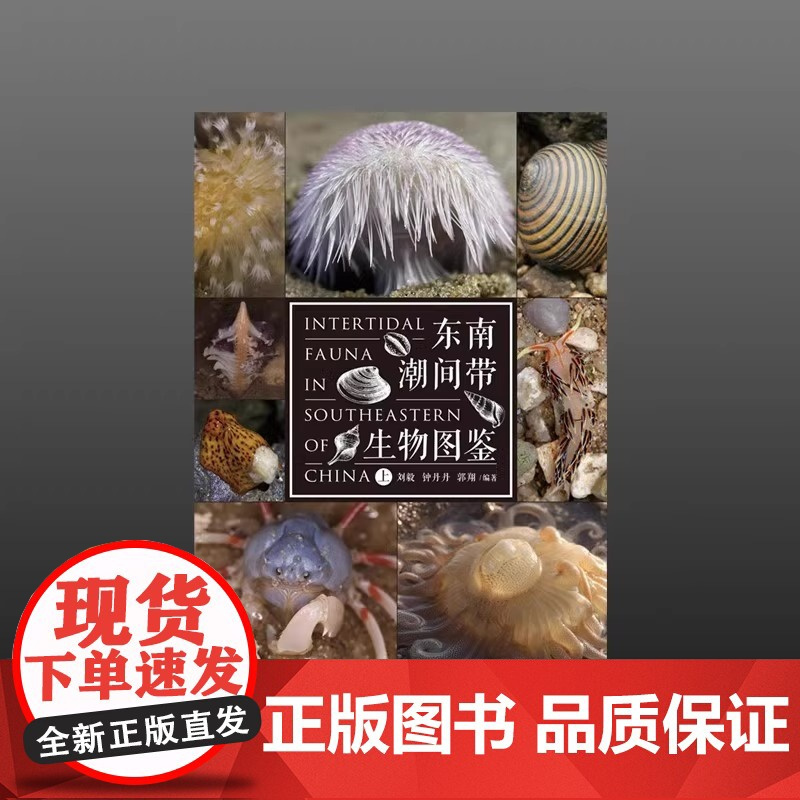 正版 东南潮间带生物图鉴 海峡书局 海洋生物赶海手册 赶海指南海洋生物图鉴海洋生态环境中国螃蟹 科普百科水生动物图谱