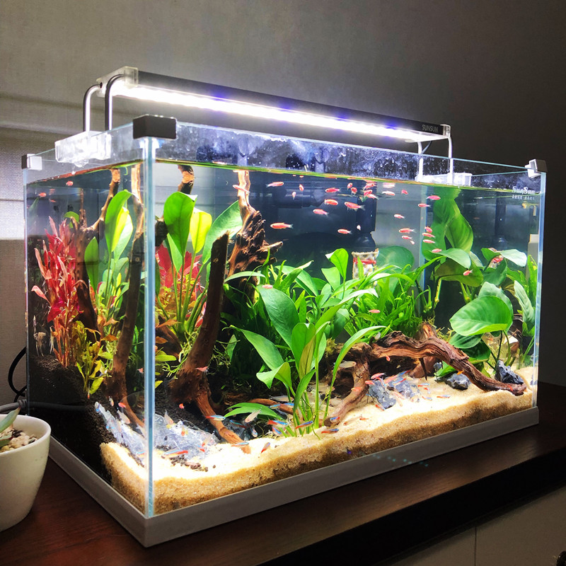 加宽超白玻璃鱼缸客厅小型生态水族箱水缸中型桌面金鱼缸高清大图