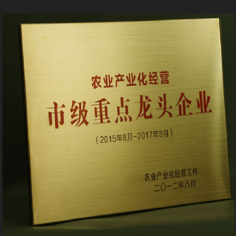 权琐qs0025户外钛金牌参数