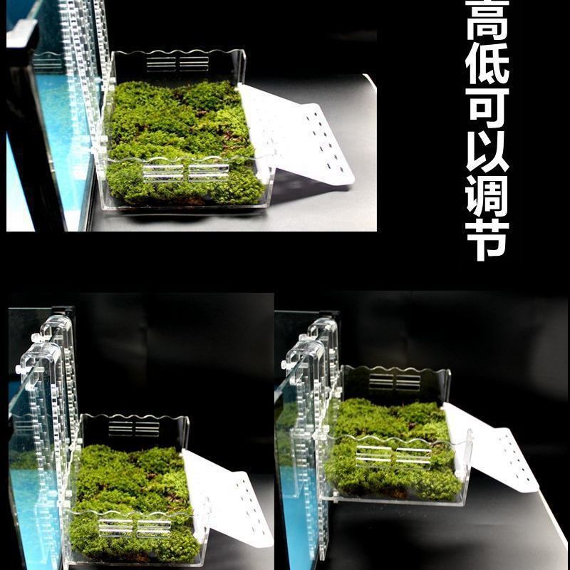 小号平板晒台 龟台乌龟晒台爬坡高水位浮岛挂壁式龟台深水鱼缸晾晒背台爬坡休息