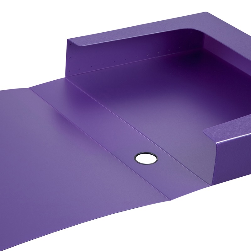 齐心(COMIX)MC-55 A4 美石PP档案盒 55MM(珠紫) 一个价格18个起订高清大图