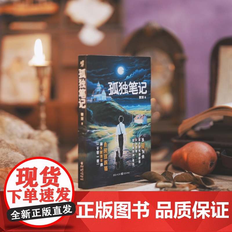 孤独笔记 贾洋 献给千千万万踯躅在人生路口的年轻人 情感奇幻小说高清大图