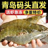 青岛大虾 整箱7.2-8斤 16-18厘米左右 顺丰速运 新鲜日期 冰鲜虾活新鲜大虾 基围虾水产冻虾