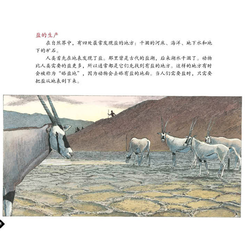 单本全册 [正版]盐的故事蒲蒲兰硬壳精装图画书为孩子全面普及盐的知识、盐的历史和盐的文明!适合6岁以上童书高清大图