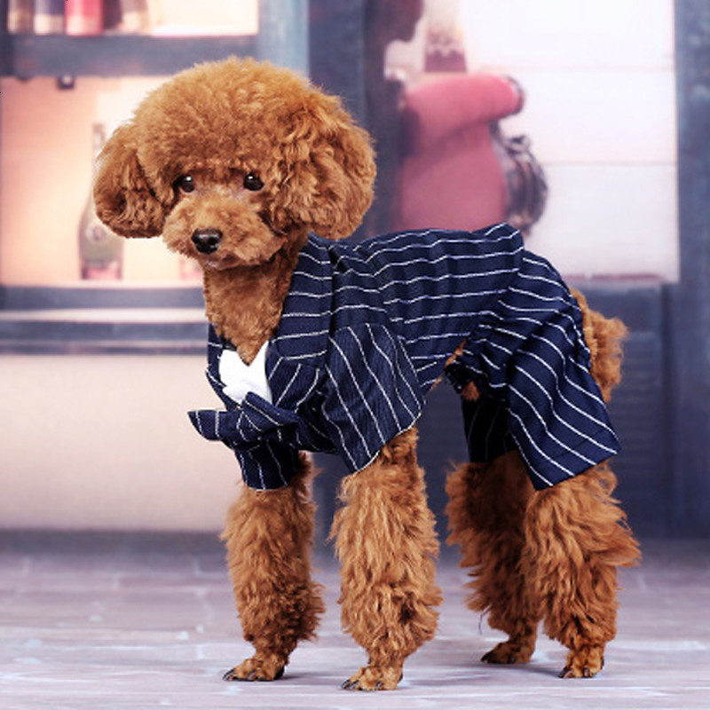 狗狗衣服夏天西装法斗西服泰迪巴哥斗牛犬夏季四脚装宠物夏装礼服