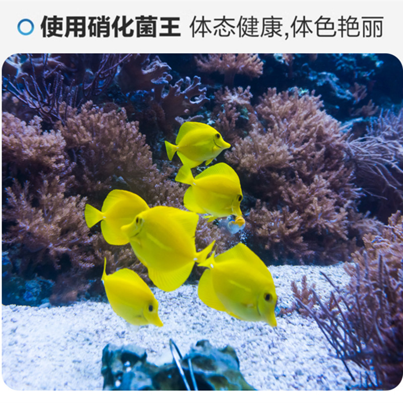 硝化细菌鱼缸用净水剂鱼药养鱼净化水质稳定剂分解鱼粪消化活菌液高清大图