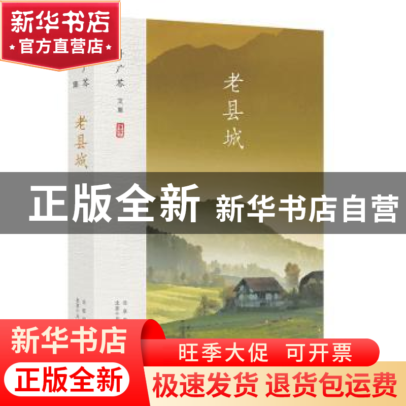 正版 老县城::: 叶广芩 北京十月文艺出版社 9787530220177 书高清大图
