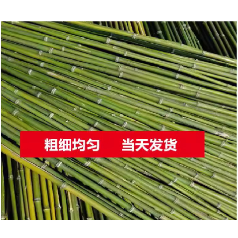 竹竿 粗1.5cm 长1米(100根)高清大图