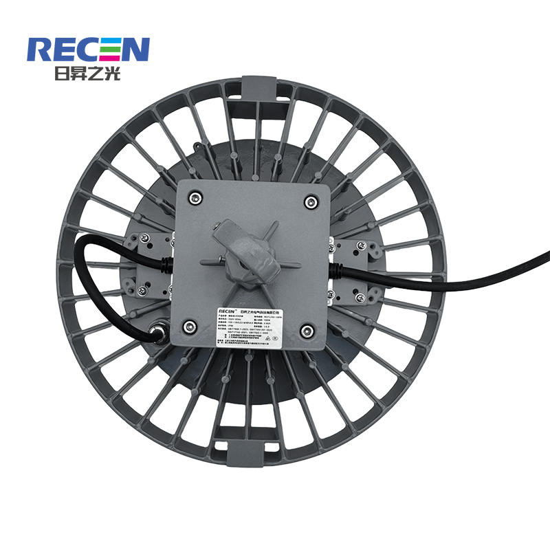 RECEN RGFL230-100W 固定式LED灯具 个高清大图