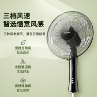 美菱落地扇MPF-DZ4541(黑色遥控)-D-SD