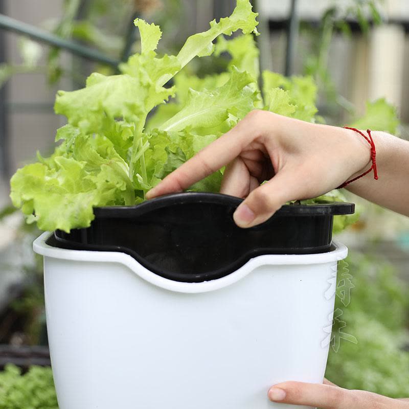 懒人种菜盆种植长条塑料箱自动吸水花盆蔬菜阳台家庭专用神器自图片