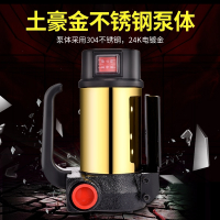 电动抽油泵正反转12V24V220V柴油泵直流泵自吸泵手动加油机抽油器 易丰扬12V正反+6米管