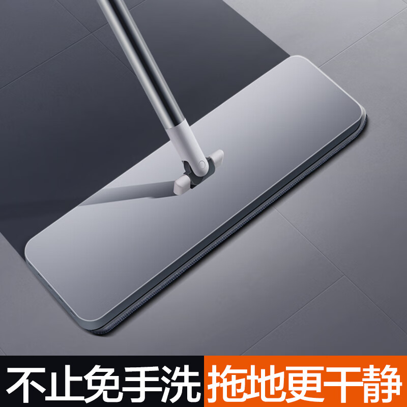 大卫 P10-2/平板拖把高清大图