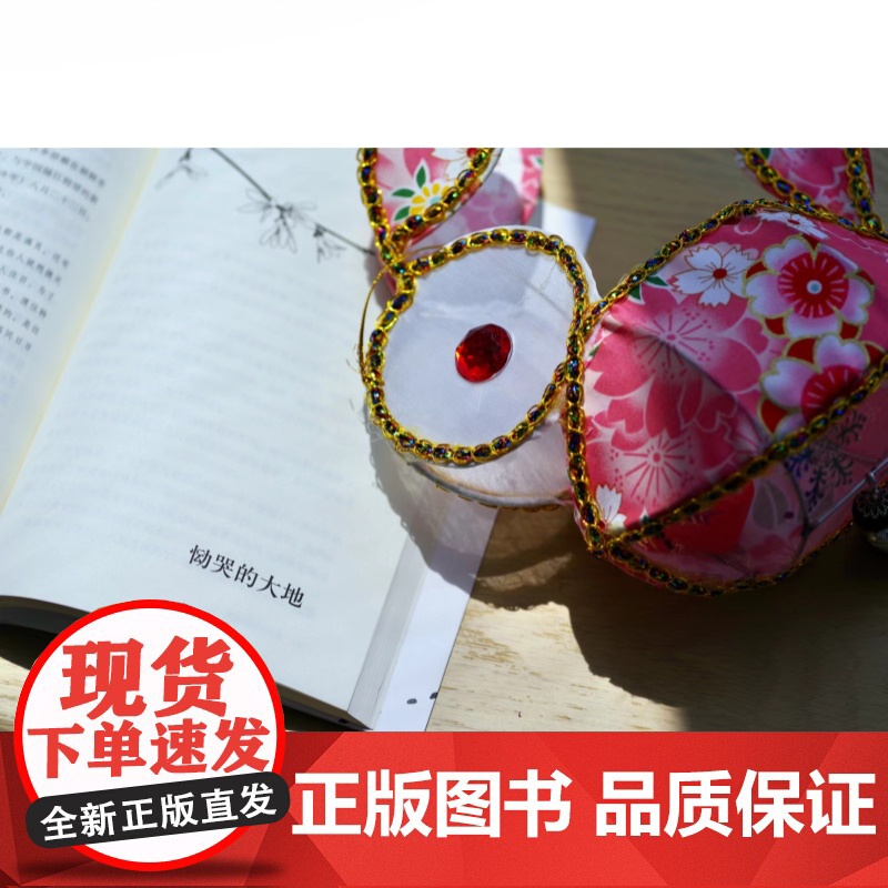 唐行小姐:被卖往异国的少女们 森崎和江作品人口妇女买卖格致出版社格尔尼卡系列世纪史高清大图