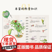 少儿.外婆的魔法菜园走进菜园探寻蔬菜的奥秘体验劳动的快乐绘本快乐读书吧自主阅读亲子阅读睡前故事爱的教育幼儿科普