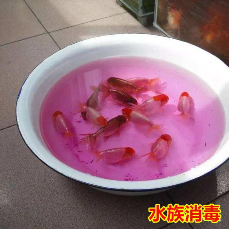 高锰酸钾洗液消毒液溶液鱼缸消毒实验妇科男女私处洗剂浓缩型 买一瓶送量杯喷瓶