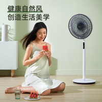 美的(Midea)电风扇家用落地扇七叶遥控定时广角送风轻音节能大风量客厅宿舍摇头风扇易拆洗SAD35EA