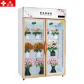 埃利斯（AILISI）鲜花保鲜柜XC-800SL风冷
