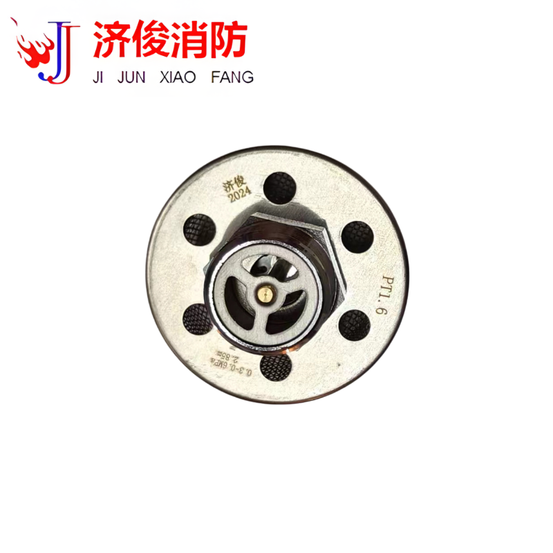 济俊 泡沫喷头 PT1.6 DN20