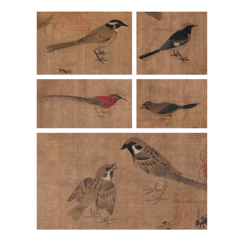 正版新书]历代经典国画画谱·飞羽啼鸣张阳 编9787571218812高清大图