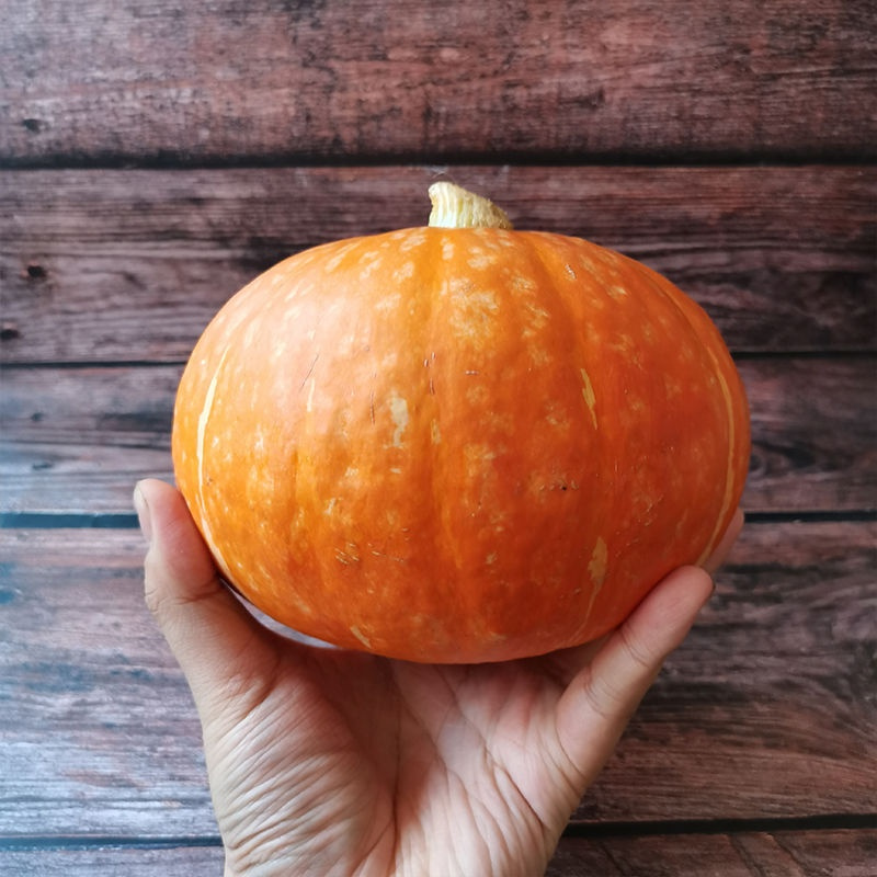 湛航顺丰山东红皮南瓜新鲜万圣节小南瓜金倭瓜新鲜蔬菜老南瓜灯视频