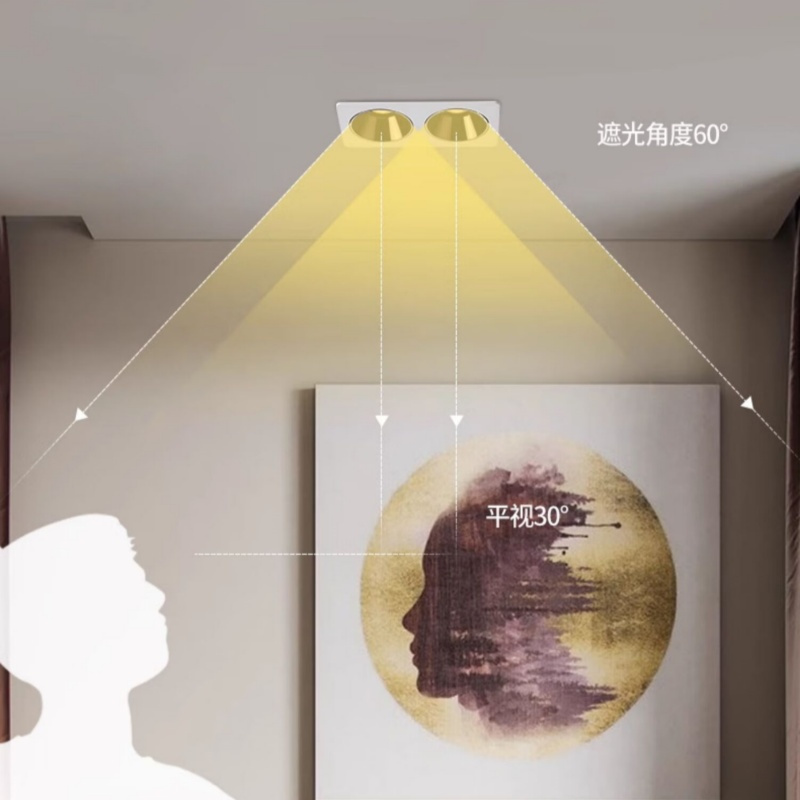 白+黑双头筒灯 嵌入式格栅灯24瓦-单位:个