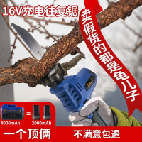 闪电客锂电电锯充电式往复锯马刀锯家用小型手锯电动锯子木工多功能 12V马刀锯抖音