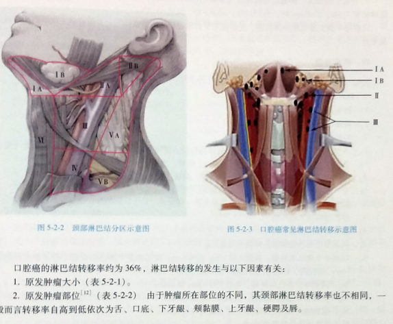 [正版]肿瘤放射治疗学 李哗雄 第5版 第五版 放射物理学 临床放射治疗学 放射生物学 癌症防治与护理 临床内科学 主编高清大图