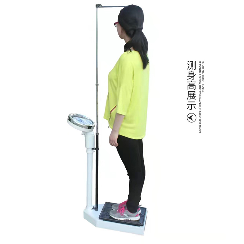 ZDET 成人身高体重测量仪 最高承重180kg 身高70-190cm(个)