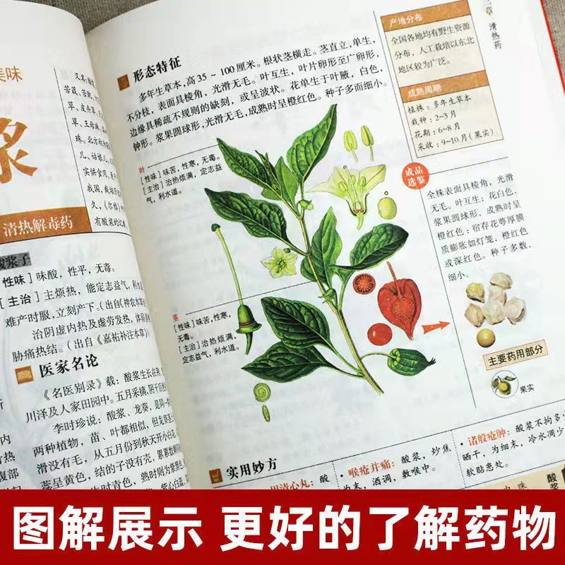 [正版]中医名著全套8册图解本草纲目黄帝内经千金方汤头歌诀金匮要略神农本草经温病条辨伤寒论张仲景白话典藏版中医入门基础
