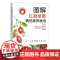 图解红颜草莓精品高效栽培(特色果品提质增效技术丛书) 323247 2024.09 祝宁,宗静,陈怀勐,孙健