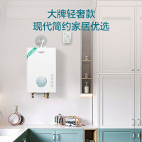 [新品]A.O.史密斯家族年轻时尚品牌-佳尼特 16升燃气热水器JSQ31-T3A 天然气 家用恒温专利防CO 主动清扫