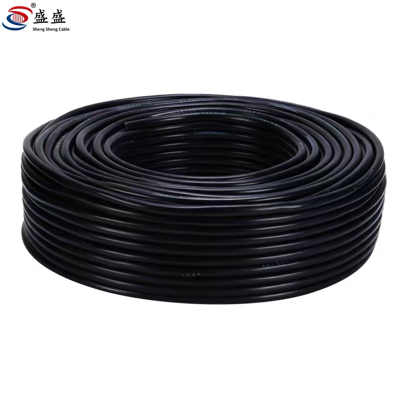 盛盛 护套线电源线(备注颜色 黑,白) RVV2*0.5mm²100米 卷