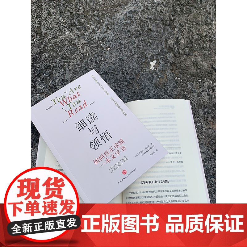 细读与领悟:如何真正读懂一本文学书(纽约大学人文学科教授罗伯特·迪亚尼)(文学评论与鉴赏)天地出版社高清大图