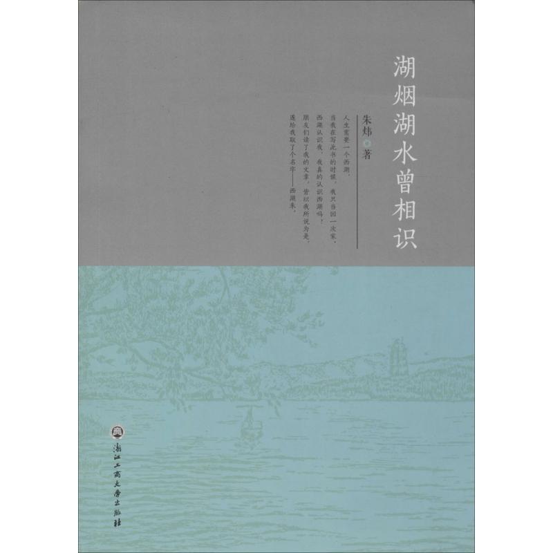 正版新书】湖烟湖水曾相识朱炜9787517800095