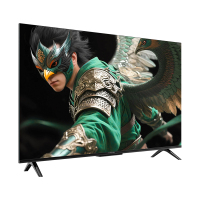 雷鸟雀5 25款50英寸4K超高清智能网络WiFi语音 2+32GB 液晶平板电视机50F295C